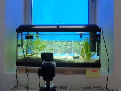 aqwebcam